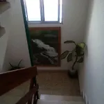 Apartman 8 Calle Tangara La Gloria